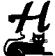 Schwarze katze 2