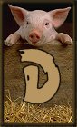 Schweine 3 alphabete