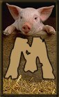 Schweine 3 alphabete