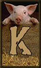 Schweine alphabete