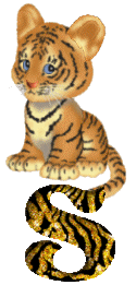 Tiger 4 alphabete
