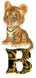 Tiger 4 alphabete