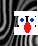 Zebra alphabete