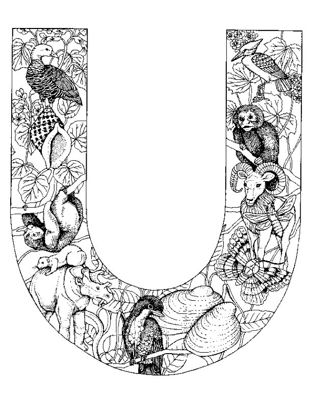Malvorlage Alphabet tieren ausmalbilder hqsim