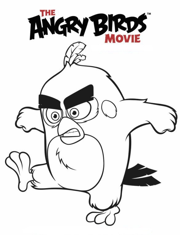 Angry birds der film