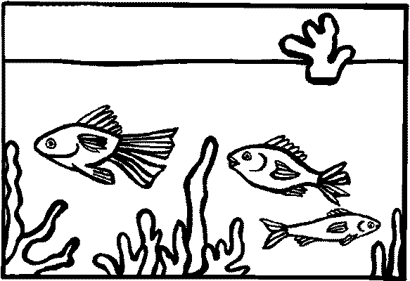 Aquarium