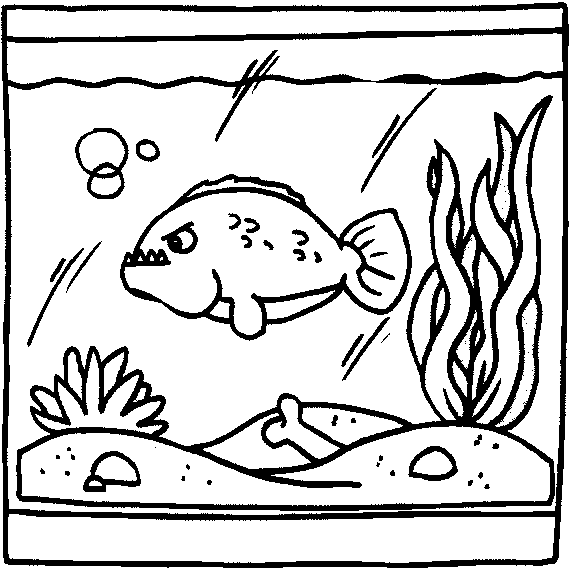 Aquarium