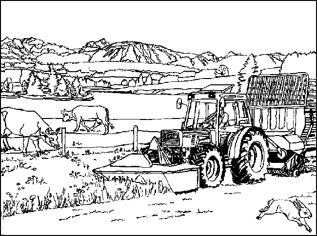 Bauernhof ausmalbilder