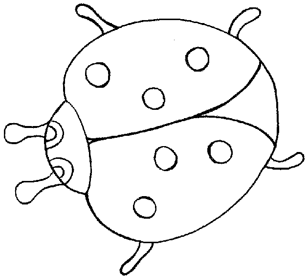 Malvorlagen Insekten Pdf / Malvorlage Glühwürmchen Tiere Insekten
