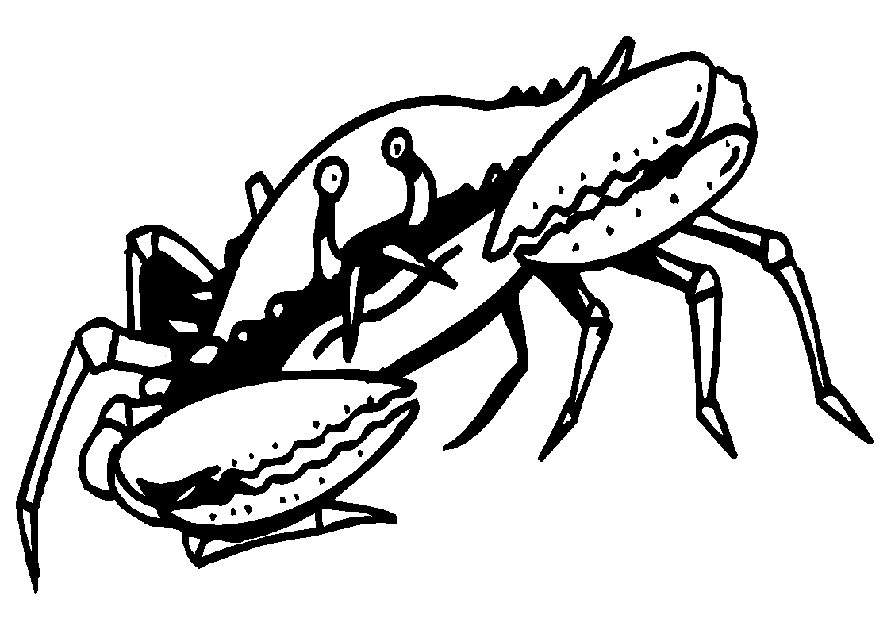 Krabbe ausmalbilder