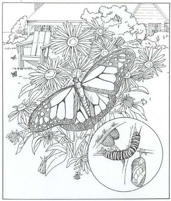 Natur rund ums haus ausmalbilder