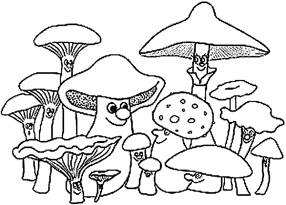Pilze ausmalbilder