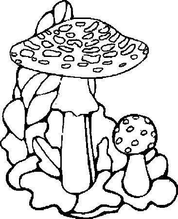 Pilze ausmalbilder