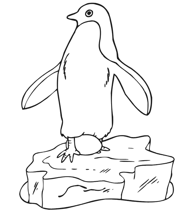 Pinguin ausmalbilder