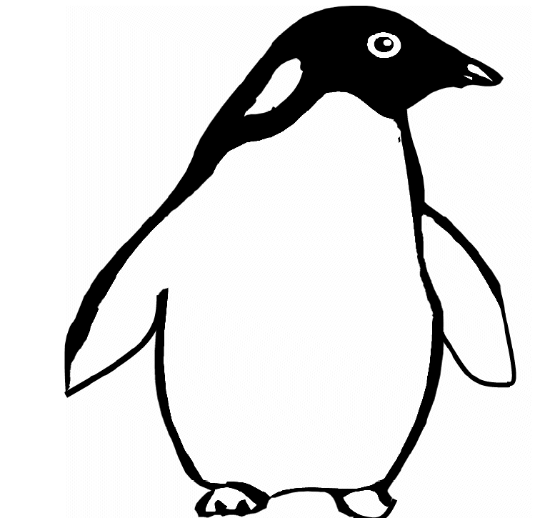 Pinguin ausmalbilder