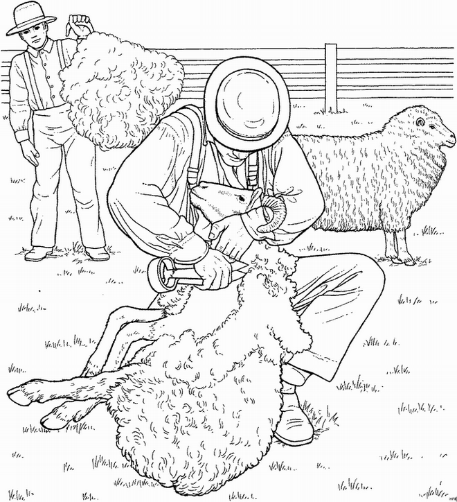 Schafe ausmalbilder