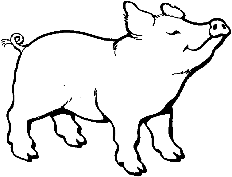 Schwein ausmalbilder