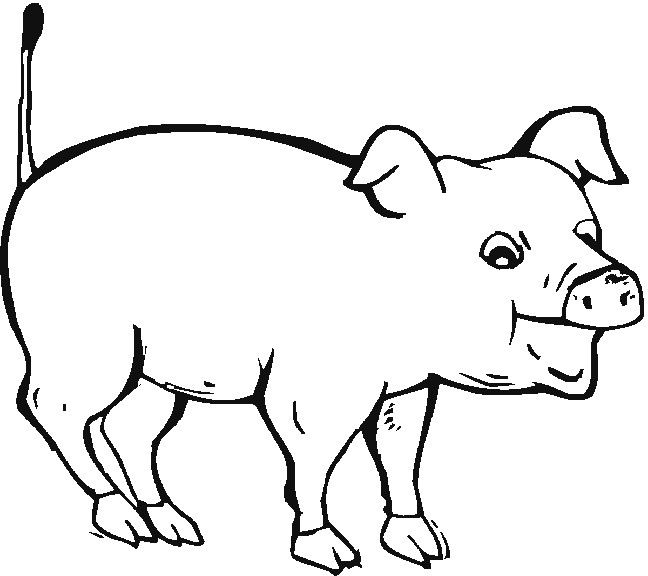 Schwein ausmalbilder