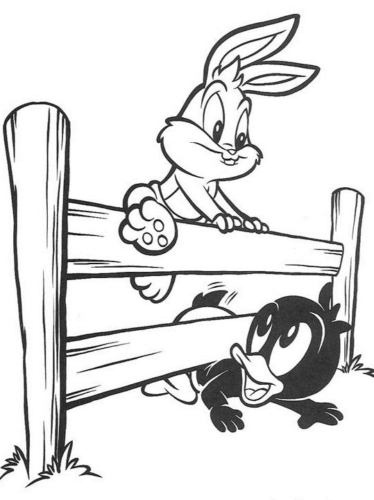 Baby looney tunes