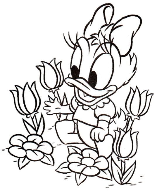 Daisy duck