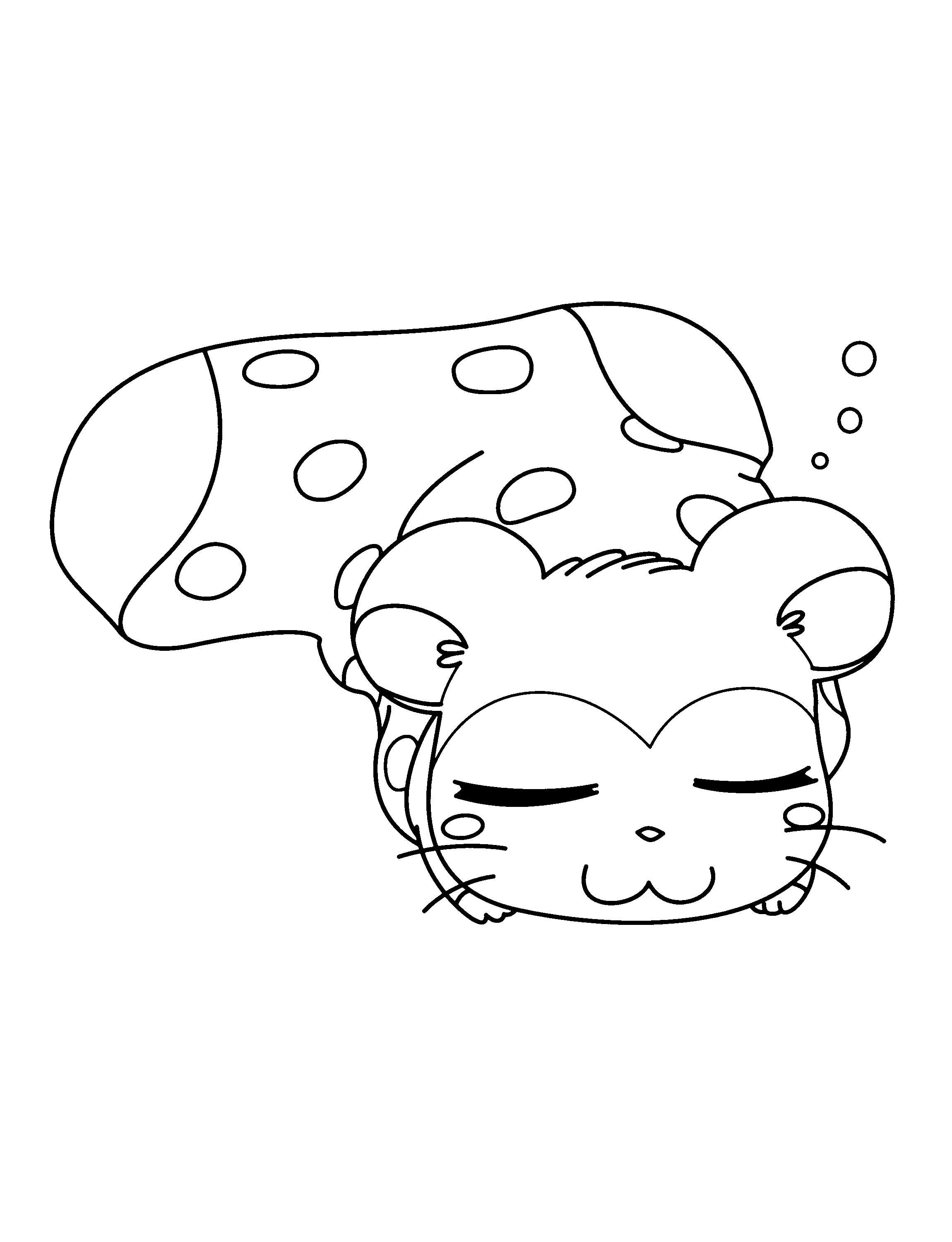 Hamtaro