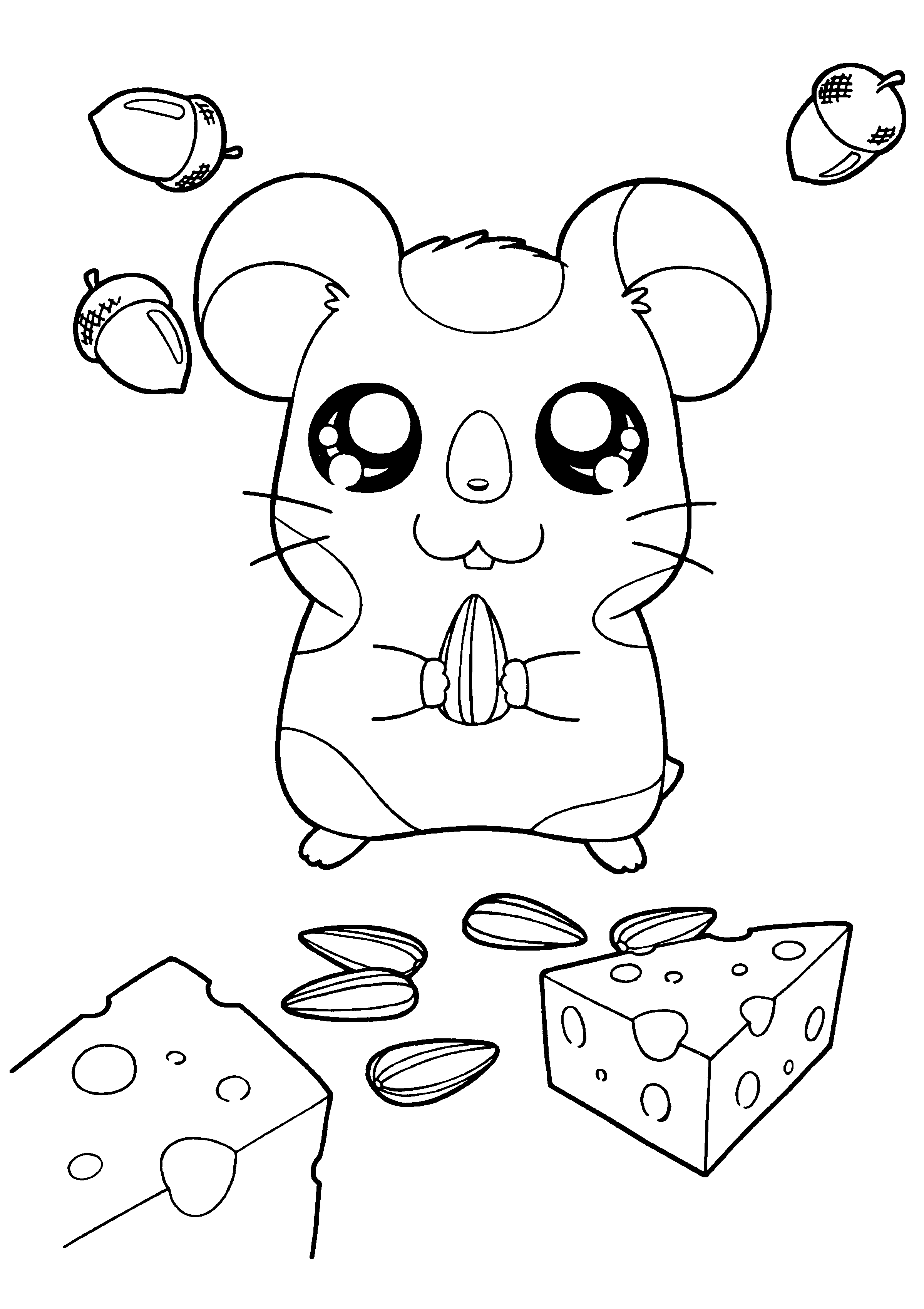 Hamtaro