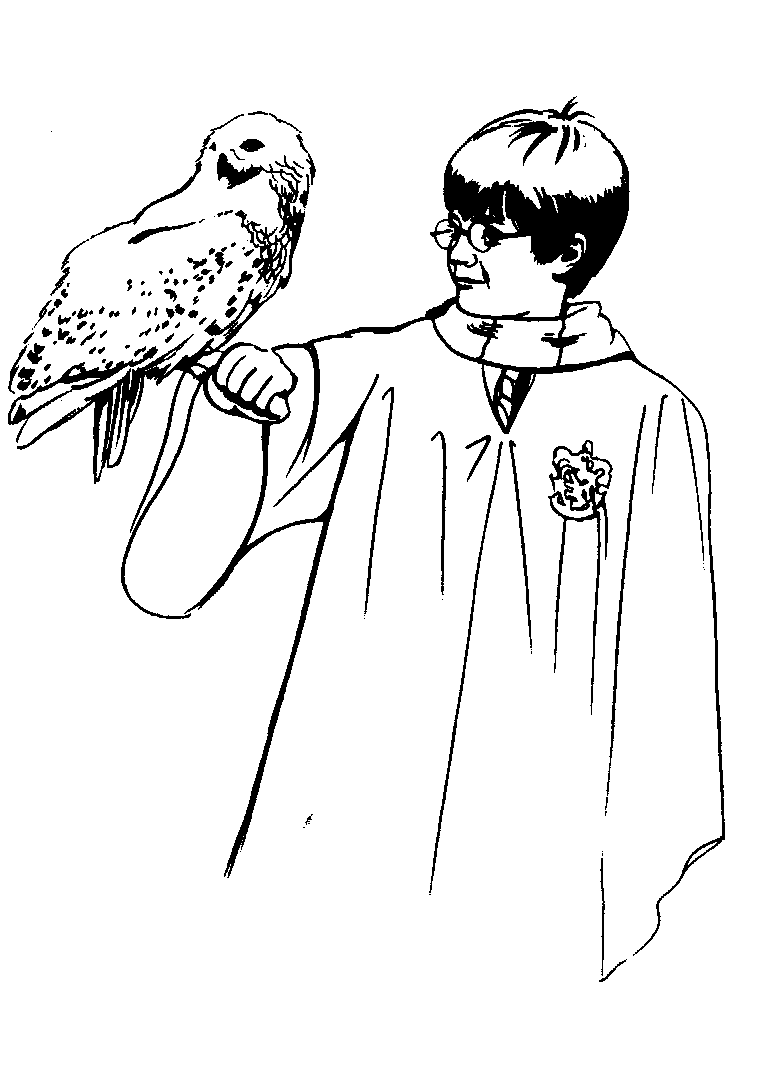 Harry potter