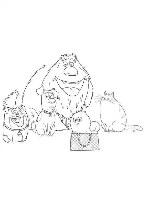 Pets ausmalbilder