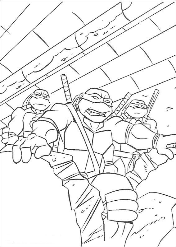 Ninja turtles