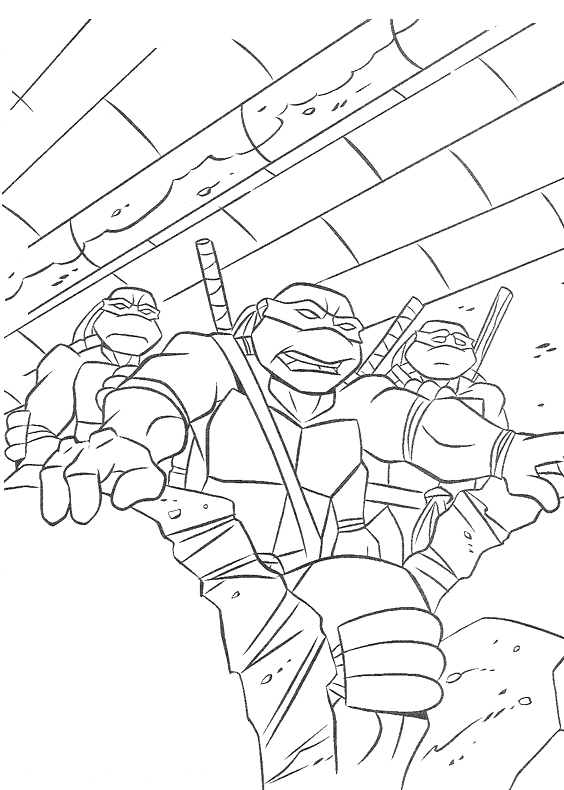 Ninja turtles