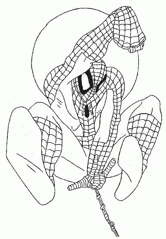 Spiderman