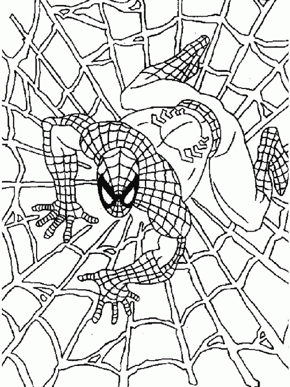 Spiderman