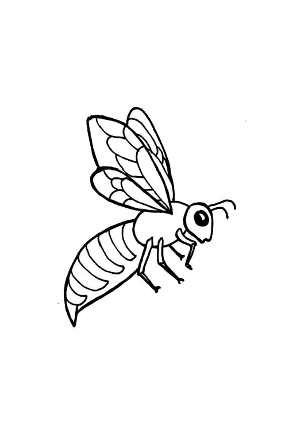 Bienen ausmalbilder