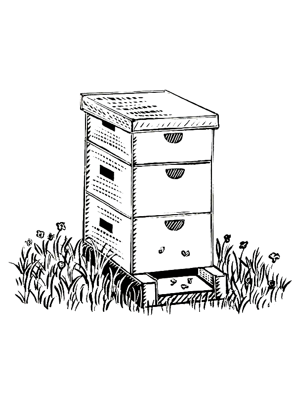 Bienen ausmalbilder