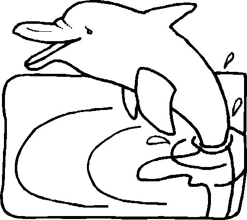Delfine ausmalbilder