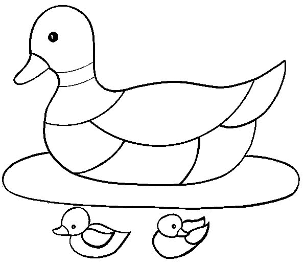 Enten ausmalbilder