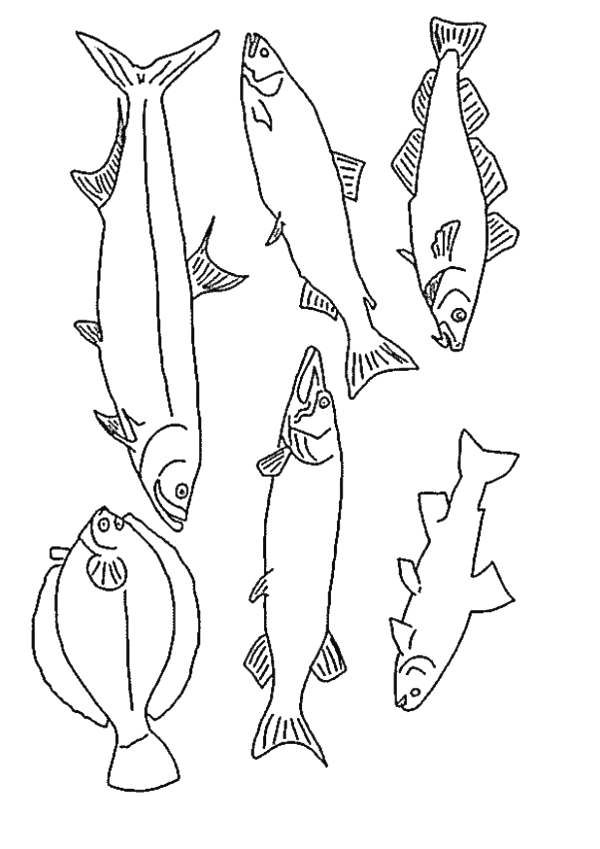 Fisch ausmalbilder