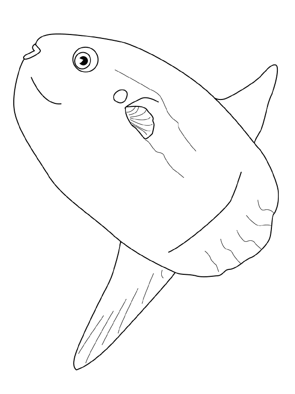 Fisch ausmalbilder