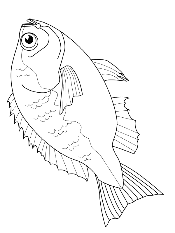 Fisch