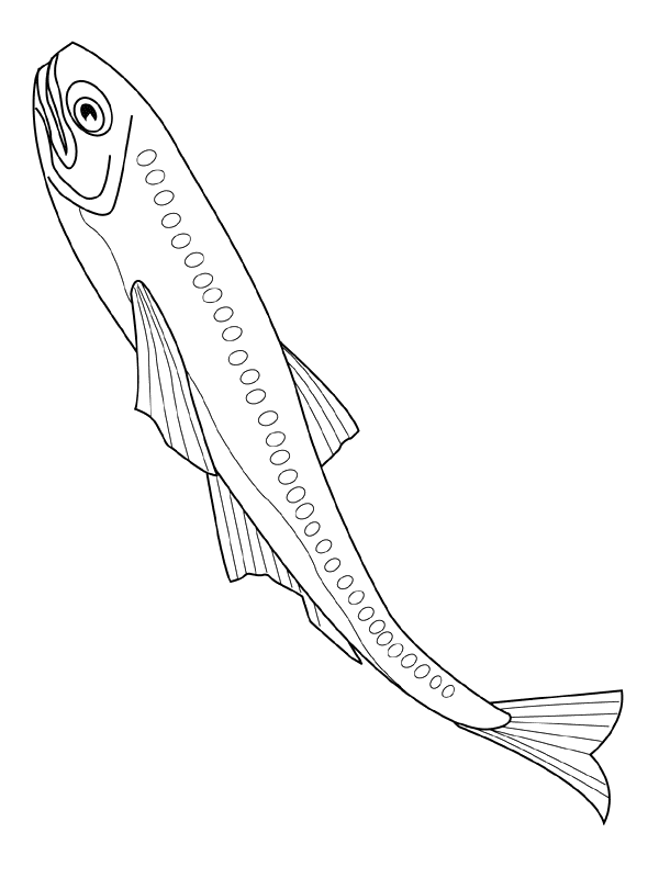 Fisch ausmalbilder