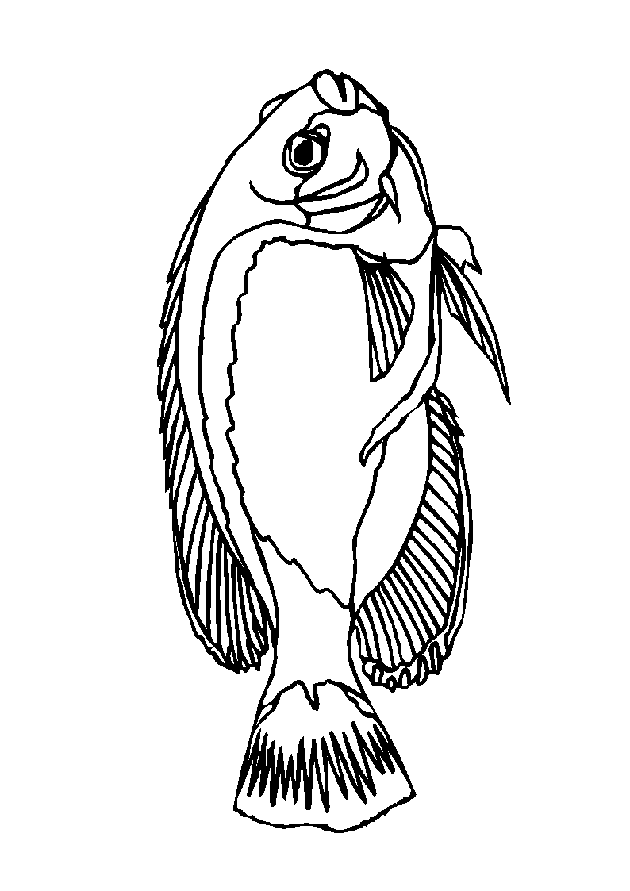 Fisch