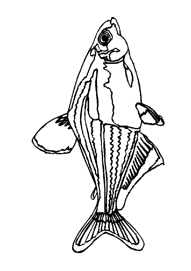 Fisch ausmalbilder