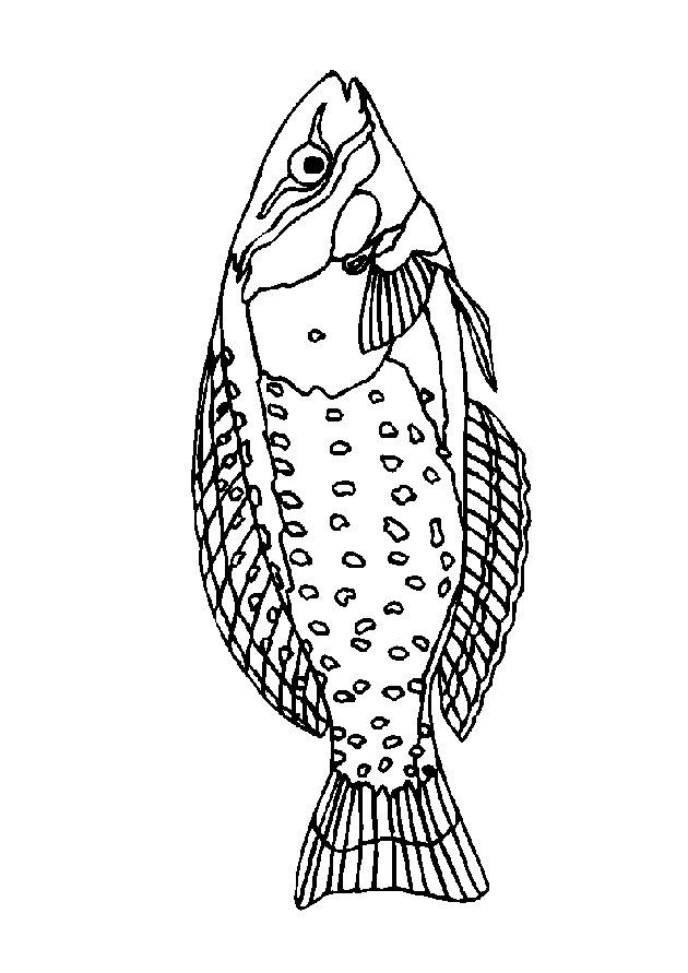 Fisch ausmalbilder