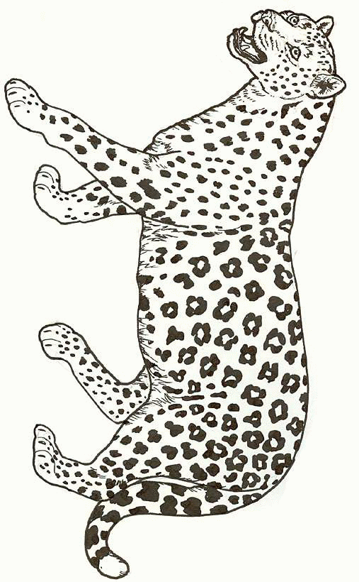 Gepard ausmalbilder