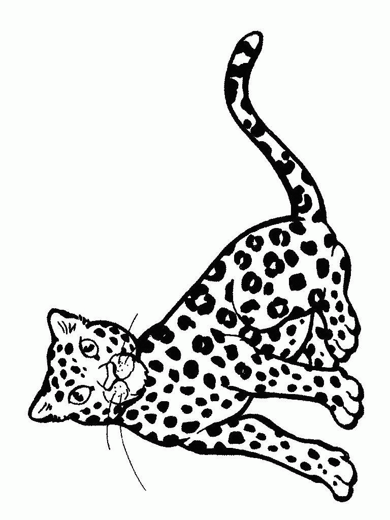 Gepard