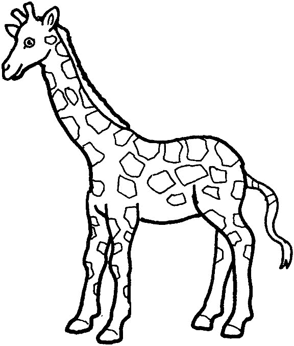 Giraffe ausmalbilder