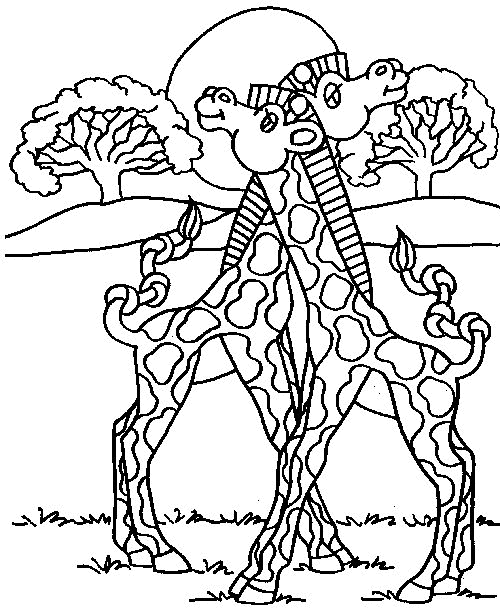 Giraffe