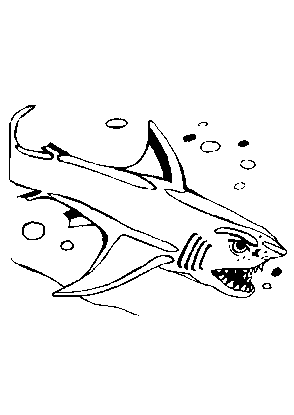 Haie ausmalbilder