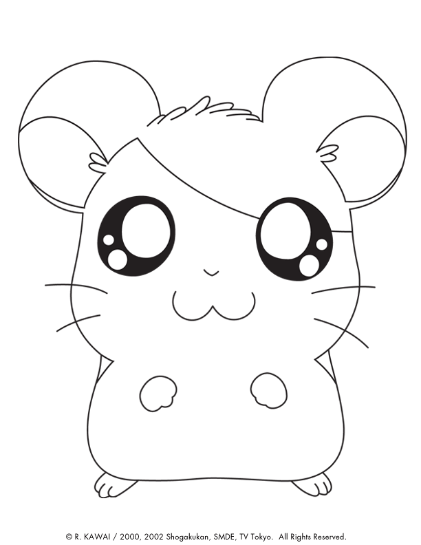 Hamster