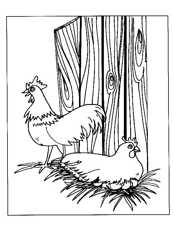 Huhn ausmalbilder